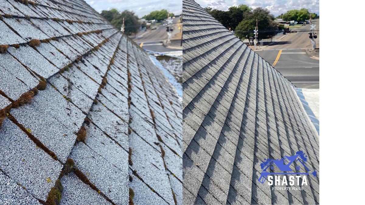 Moss Removal Roof Cleaning in Redding, CA Thumbnail